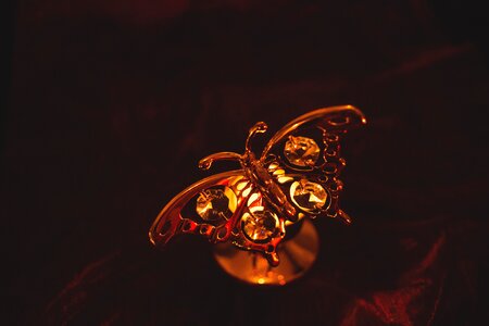 Burn butterfly candle