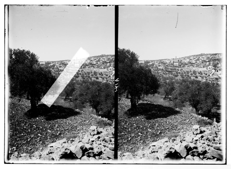Bethlehem and surroundings. Beit Jala (Zelzah), home of Saul LOC matpc.05104