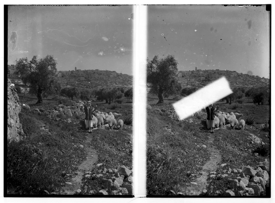 Bethlehem and surroundings. Bethlehem on the hill. With shepherd illustrating David's younger life LOC matpc.02599
