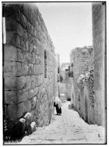 Bethlehem and surroundings. Bethlehem. A sun-lit street. Street of old homes LOC matpc.02600