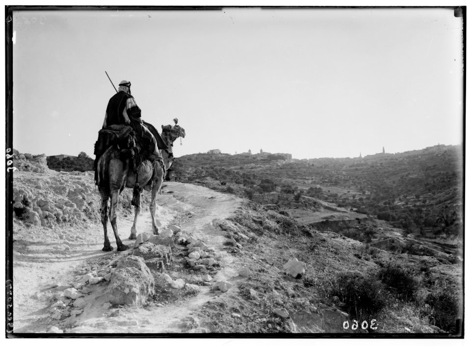 Bethlehem and surroundings. Evening on road to Bethlehem. Camel-rider approaching Bethlehem in the twilight LOC matpc.02609