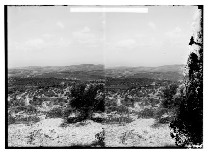 Bethlehem and surroundings. Shepherd's Field and Bethlehem LOC matpc.06507