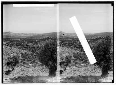 Bethlehem and surroundings. Shepherd's field from Bethlehem LOC matpc.00980