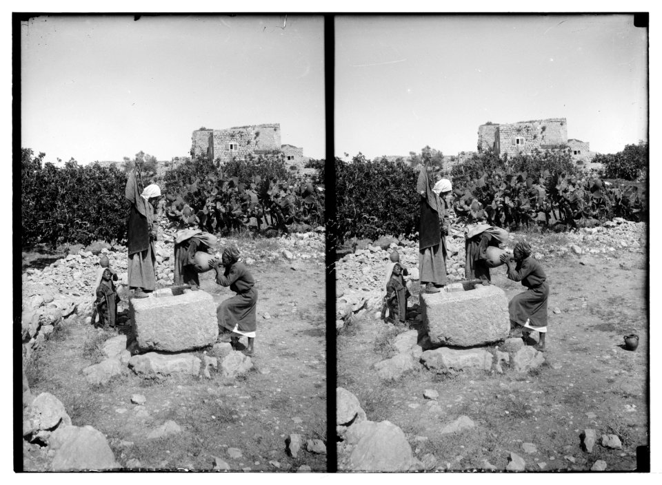 Bethlehem and surroundings. The drink that David longed for LOC matpc.05107