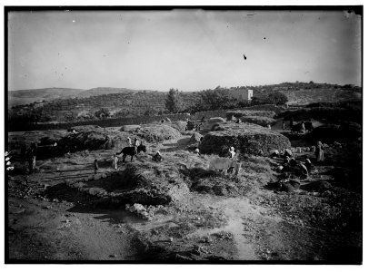 Bethlehem and surroundings. Threshing-floor near Fields of Boaz. A busy scene among the grain piles LOC matpc.02614