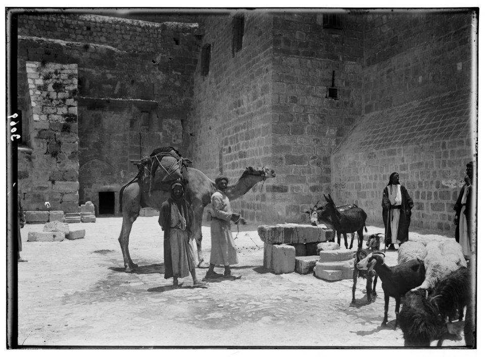 Bethlehem and surroundings. The Well at Bethlehem. Animals being watered at village well LOC matpc.02617