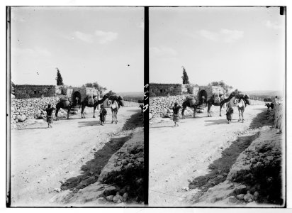 Bethlehem and surroundings. Well at Mar Elias LOC matpc.05103