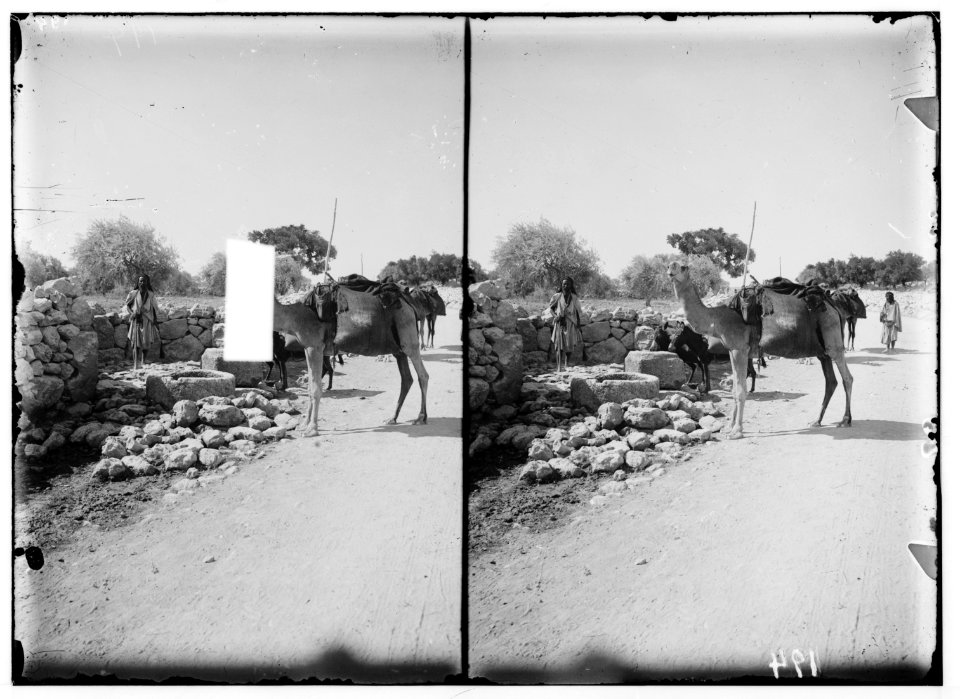 Bethlehem and surroundings. Well of the Magi LOC matpc.00966