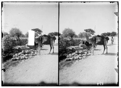 Bethlehem and surroundings. Well of the Magi LOC matpc.00966