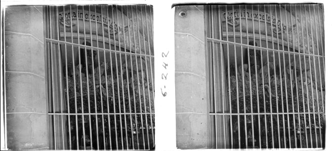 Betlem de l´Hospital de Palma de Mallorca