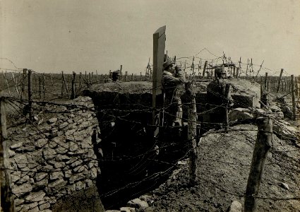 Betonierte vorgeschobene Maschinen Gewehr Stellung. Brückenkopf Sosnow. (BildID 15522092)