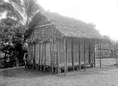 Betsinuisaraka-hydda av raveuala och bambu. Fenerive. Madagaskar - SMVK - 001654