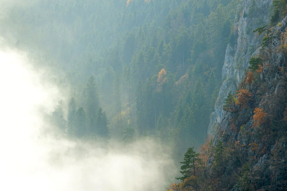 Landscape autumn mountain forest