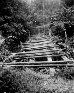 Bro på vägen mellan Goeroepahi och Modajag. Menado, Sulawesi, Kabupaten Bolaang Mongondow - SMVK - 010681b