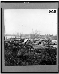 Broadway Landing, Appomattox River, Virginia LCCN90715551