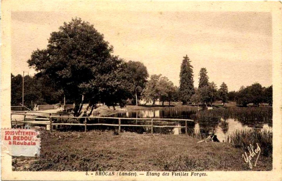 Brocas (Landes) - Etang des forges 2