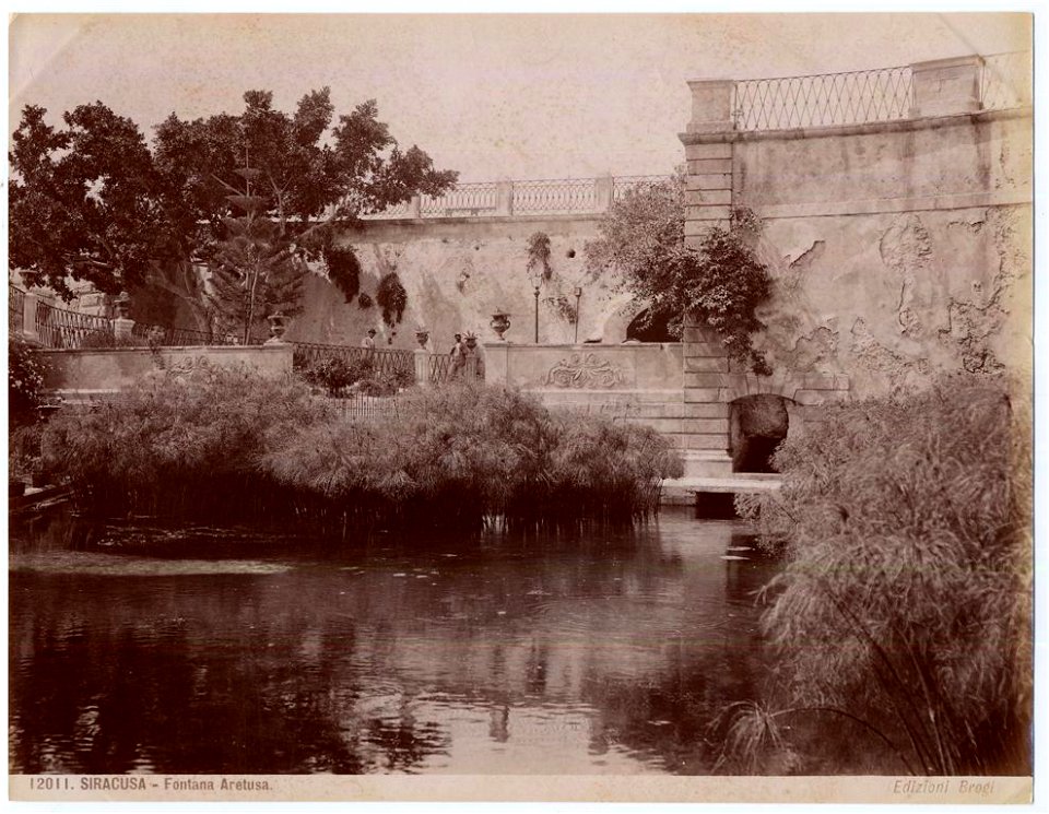 Brogi, Carlo (1850-1925) - n. 12011 - Siracusa - Fontana Aretusa