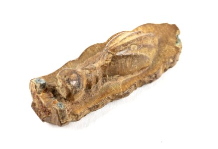 Bronsfragment i form en en djurtass eller fjäder - Hallwylska museet - 98638