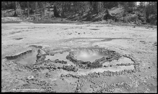 Bronze Spring, Shoshone basin. Yellowstone National Park - NARA - 517228