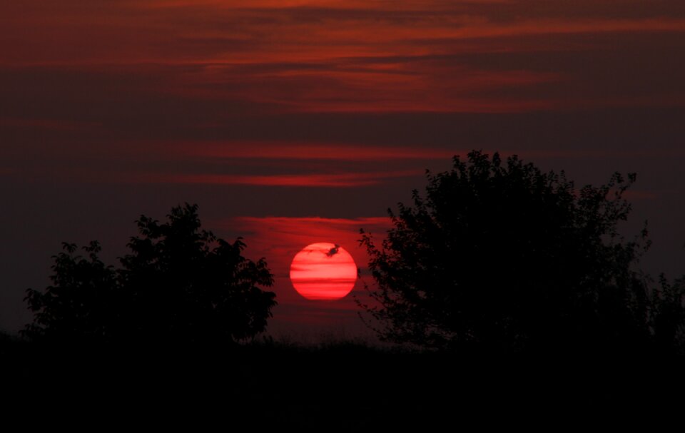 Sun red in the evening