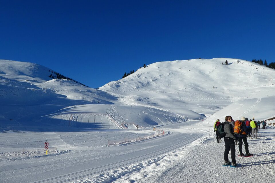 Nature nistos the high pyrenees