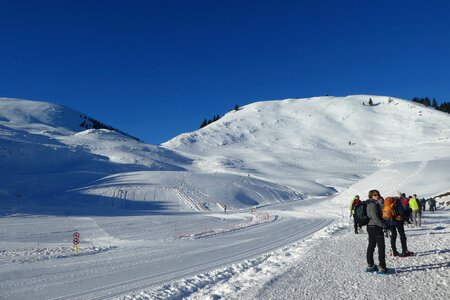 Nature nistos the high pyrenees