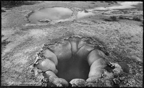 Brown Sponge Spring, Shoshone basin. Yellowstone National Park. - NARA - 517226