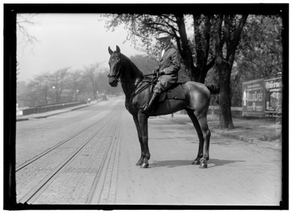 BROWNSON, WILLARD HERBERT. REAR ADMIRAL, U.S.A. RIDING AND HUNT CLUB PICNIC LCCN2016866355