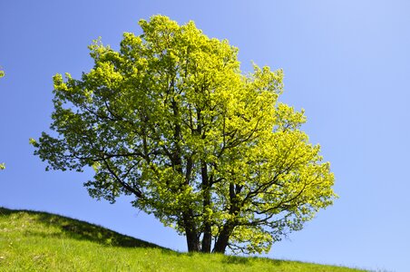 Landscape blue sky season