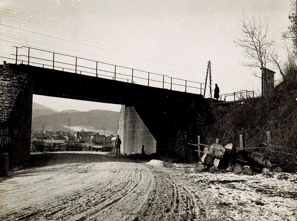 Bruneck von Osten gesehen. (BildID 15579916)