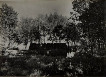 Brustwehr im Sumpf (BildID 15445984)