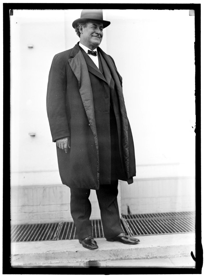 BRYAN, WILLIAM JENNINGS LOC hec.02165