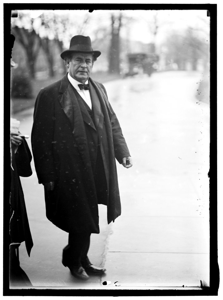 BRYAN, WILLIAM JENNINGS. REP. FROM NEBRASKA, 1891-1895; SECRETARY OF STATE, 1913-1915 LCCN2016864418
