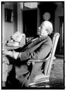 BRYAN, WILLIAM JENNINGS. REP. FROM NEBRASKA, 1891-1895; SECRETARY OF STATE, 1913-1915. AT DESK LCCN2016865541