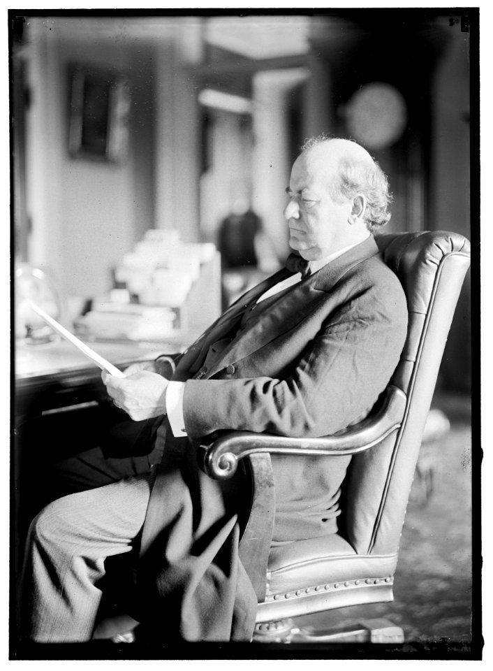 BRYAN, WILLIAM JENNINGS. REP. FROM NEBRASKA, 1891-1895; SECRETARY OF STATE, 1913-1915. AT DESK LCCN2016865544