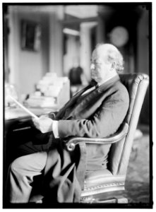 BRYAN, WILLIAM JENNINGS. REP. FROM NEBRASKA, 1891-1895; SECRETARY OF STATE, 1913-1915. AT DESK LCCN2016865544