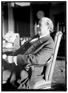 BRYAN, WILLIAM JENNINGS. REP. FROM NEBRASKA, 1891-1895; SECRETARY OF STATE, 1913-1915. AT DESK LCCN2016865545