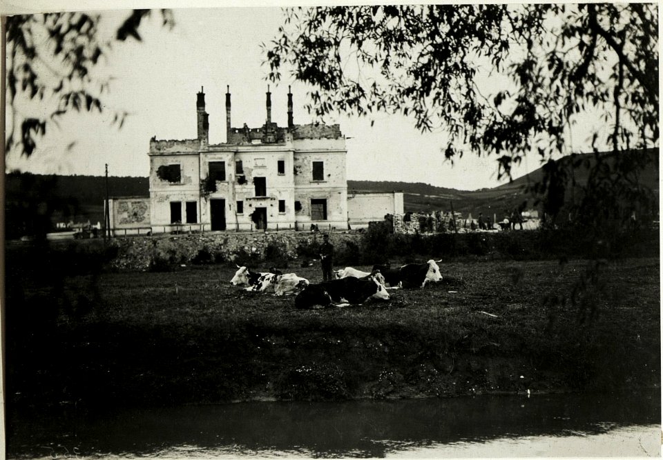 Brzezany, Bahnhof (BildID 15432168)