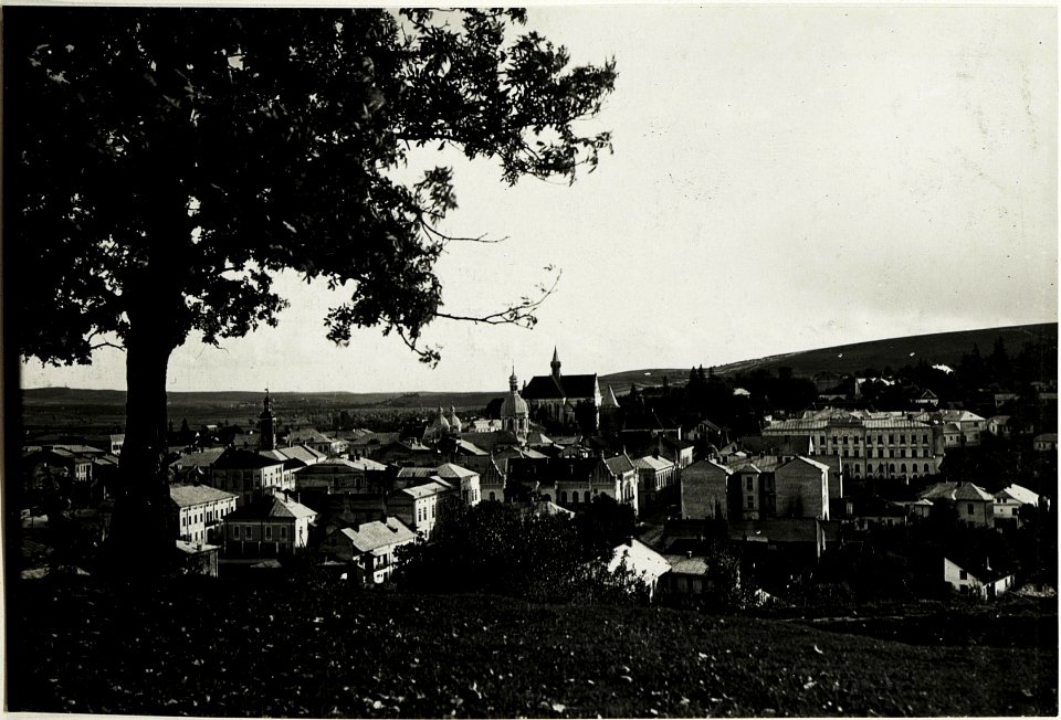 Brzezany, Blick vom Bernhardkloster (BildID 15432350)