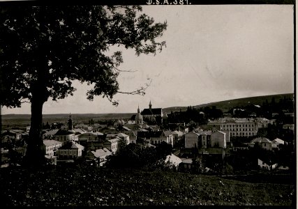 Brzezany, Blick vom Bernhardkloster. (BildID 15734354)