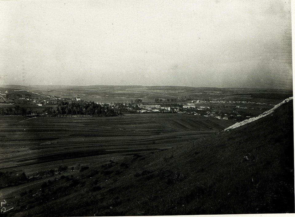 Brzezany von Süden. (BildID 15591636)