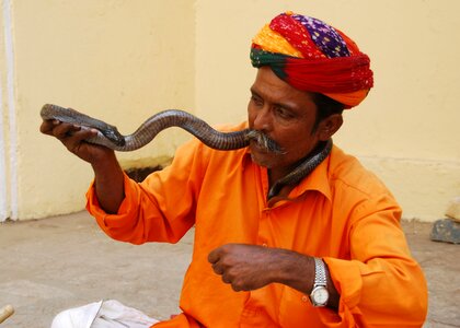 Amer fort jaipur tour travels brown snake