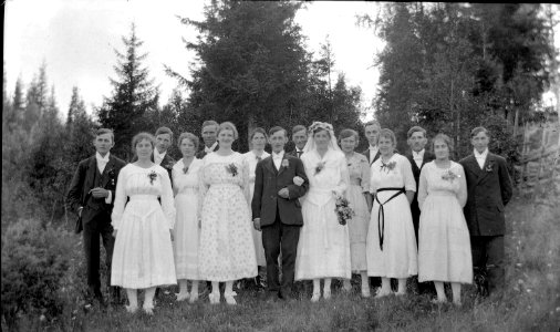 Bröllopsfoto i det gröna, tidigt 1900-tal. Lima, Dalarna - Nordiska Museet - NMA.0051042