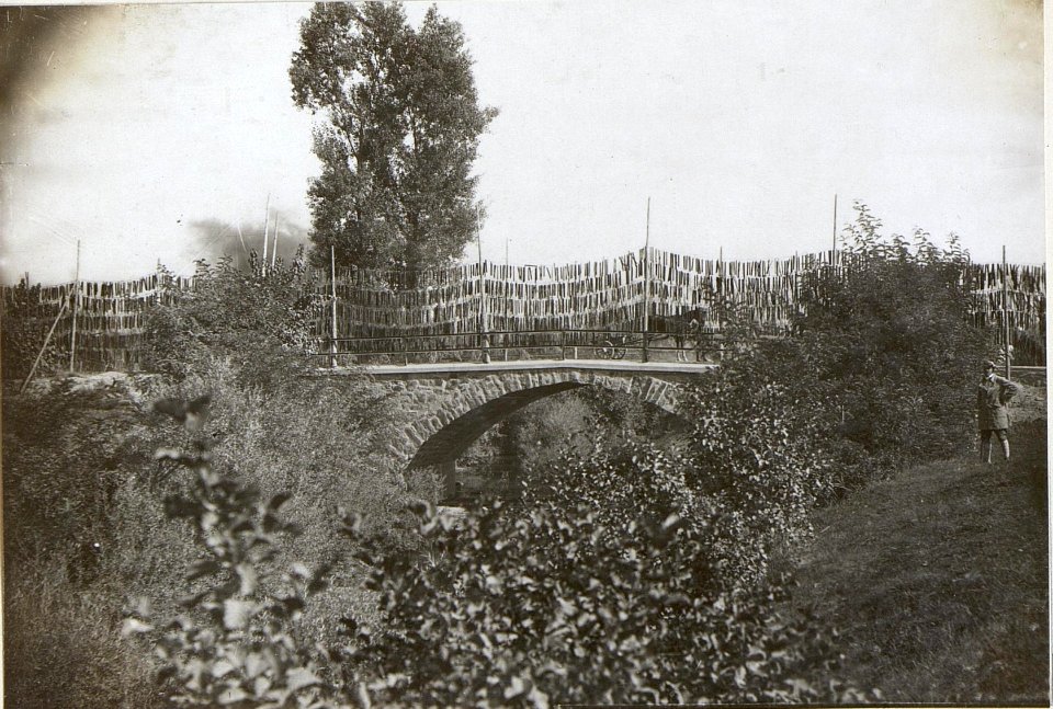 Brücke bei Haidenschaft 22.8.17. (BildID 15598015)
