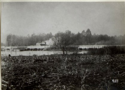 Brückenbau in Galizien im Abschnitt der vierten k.u.k. Armee (BildID 15685865)