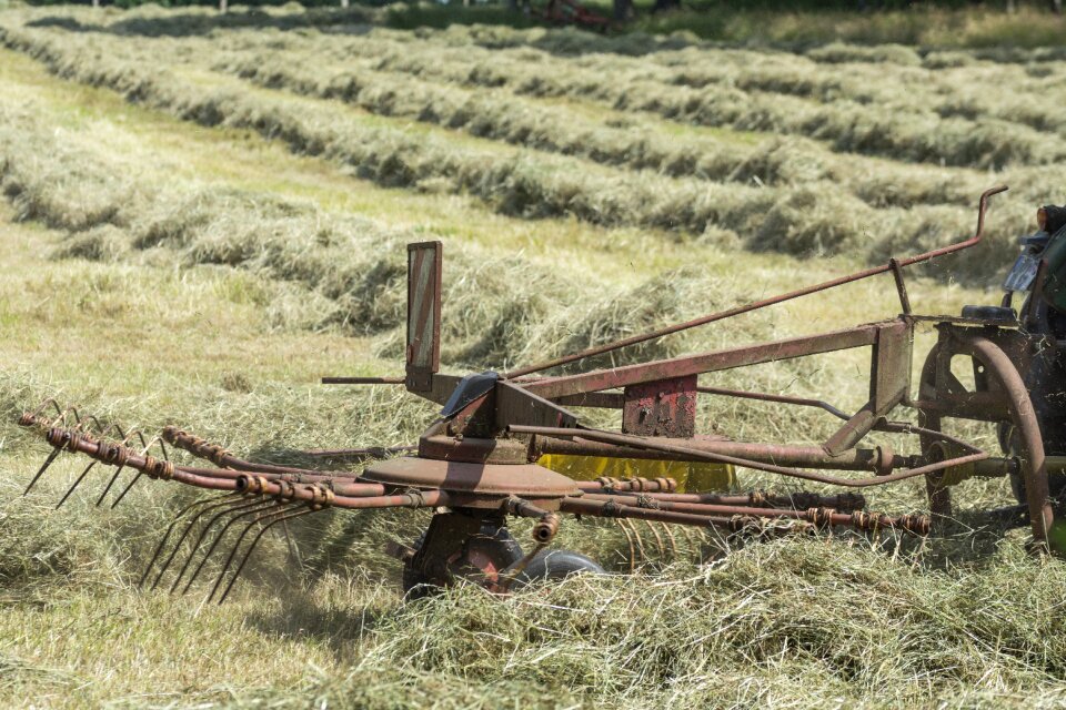 Agricultural countryside harvest