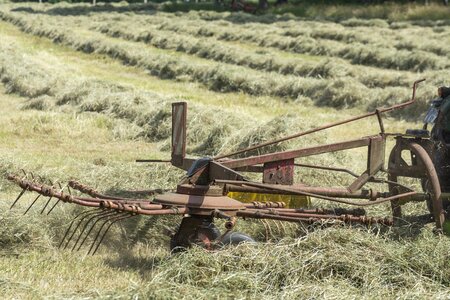 Agricultural countryside harvest
