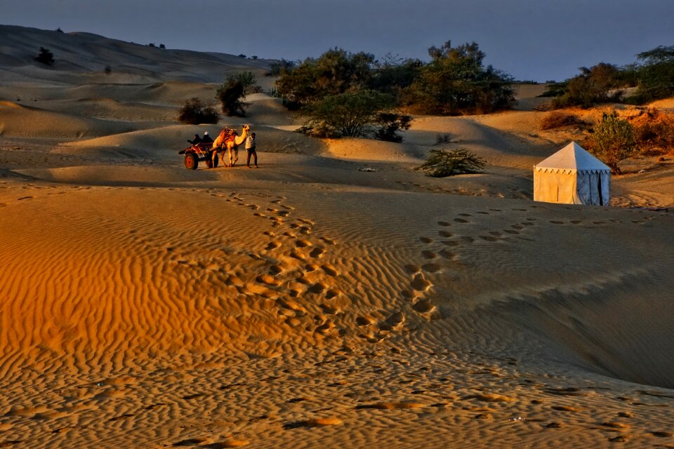 Travel caravan camel