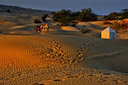 Travel caravan camel