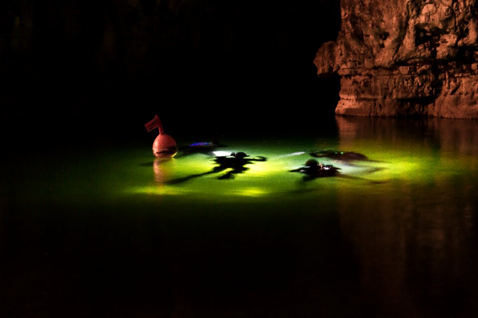 Pria immersion diving